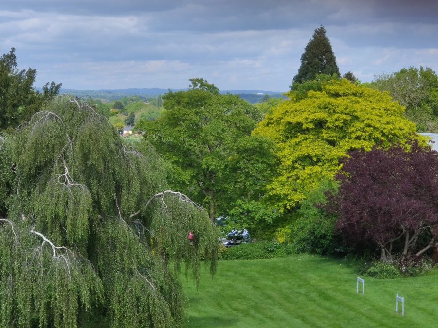 Tress outside Hindlip Hall